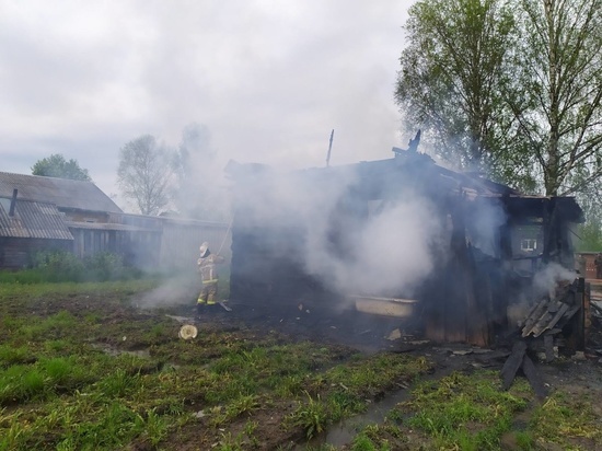 В Костромской области днем в пожаре погибли двое детей В Костромской области днем в пожаре погибли двое детей
