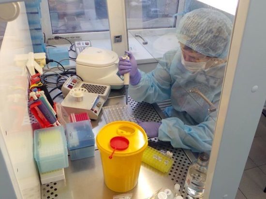 В Марий Эл за сутки провели 550 тестов на коронавирус