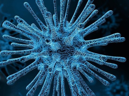  Роспотребнадзор назвал возможные сроки второй волны коронавируса