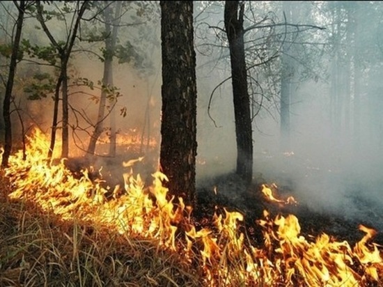 В Оренбургской области начало июня прогнозирует чрезвычайную пожарную опасность