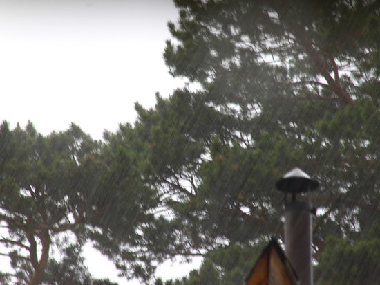 Красноярцев предупредили о ливнях и сильном ветре в первый день лета