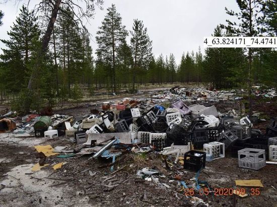 В Муравленко обнаружили 33 нелегальные масштабные свалки