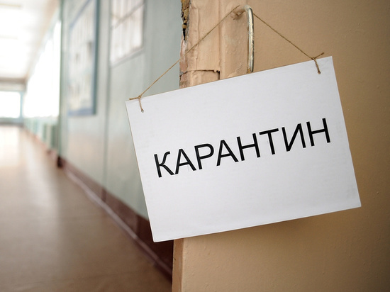 Из Таджикистана — в карантин: костромские учителя вернулись на летние каникулы
