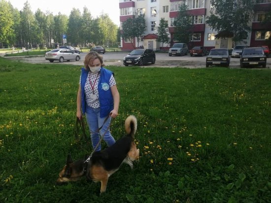 В Нижневартовске волонтеры помогают выгуливать собак