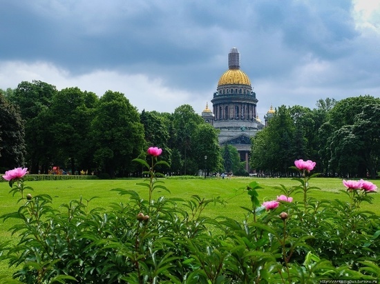 Синоптик: Петербург ждет прохладное лето