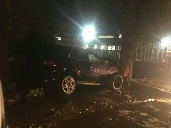 В Ростовской области два человека пострадали при столкновении «Мерседеса» с деревом