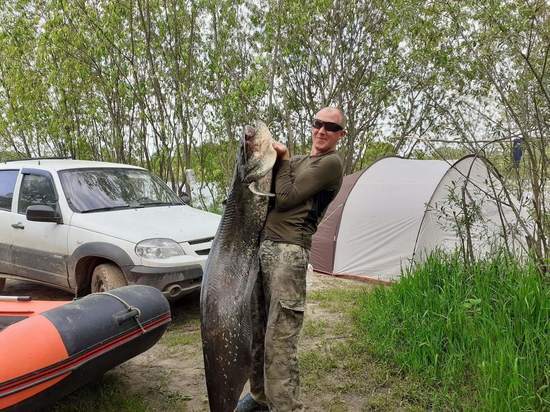 В Рязанской области поймали сома на 32 килограмма