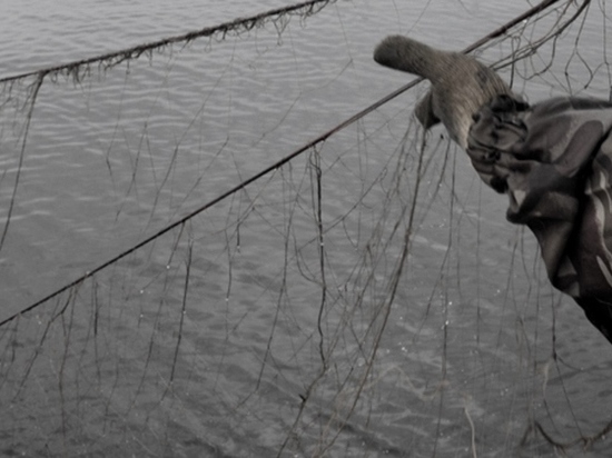 За ловлю сетью калужскому рыбаку грозит судимость