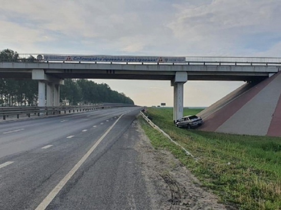 В Тамбовской области ВАЗ врезался в мост