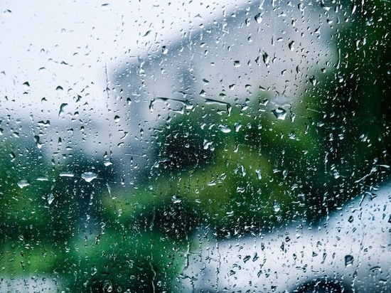 Дождь с грозами ожидается в Волгограде 3 июня