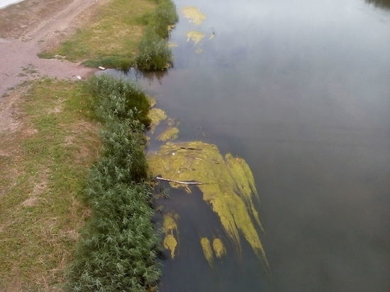 В реках Оренбуржья можно будет плавать