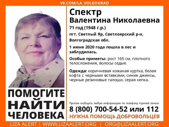 Под Волгоградом идут масштабные поиски заблудившейся пенсионерки