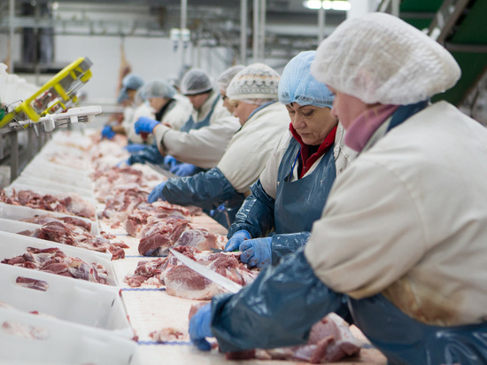 Власти рассказали, как на Великолукском мясокомбинате сдерживают очаг инфекции