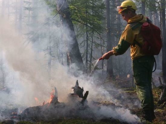 Добровольные пожарные стали инспекторами по охране лесов в Забайкалье