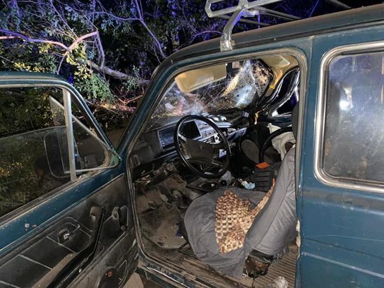 61-летний водитель из Башкирии погиб, врезавшись в дерево