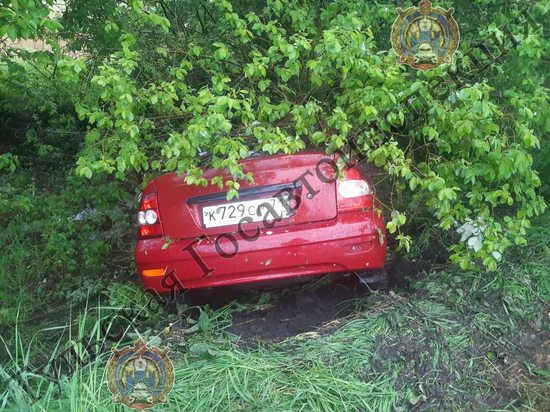 Под Тулой водитель Lada Priora врезался в дерево