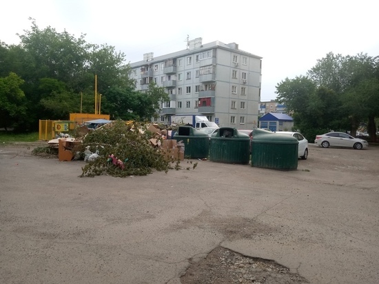 В Оренбурге сломанную ураганным ветром ветвь дерева отнесли на мусорку