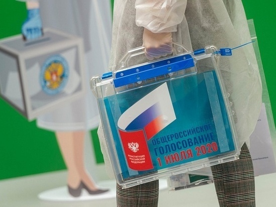 ЦИК не доверил Петербургу электронное голосование по Конституции