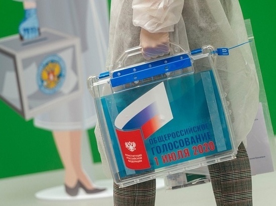 Как пройдет голосование по поправкам в Конституцию в Тверской области в условиях пандемии