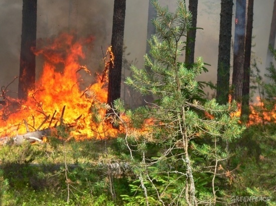 В Оренбургской области сохраняется высокая пожарная опасность
