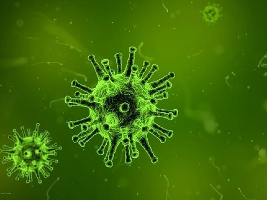 В Калужской области озвучены новые данные по коронавирусу