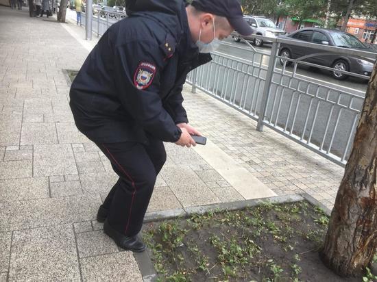 Коноплёй в центре Новосибирска заинтересовалась полиция