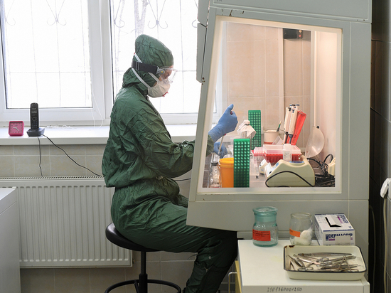 На коронавирус в Тверской области обследовано более 77 тысяч человек