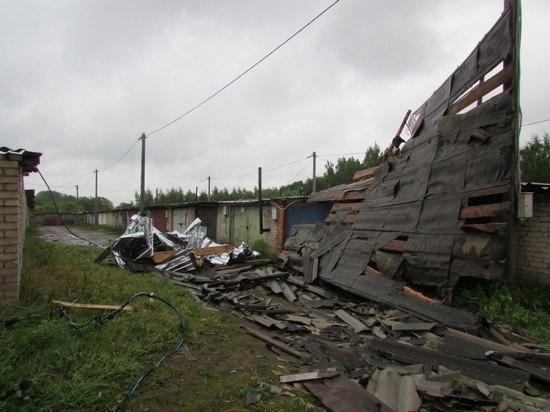 Тала Нещадимова об урагане в Гдове: Для лета такое явление – не редкость