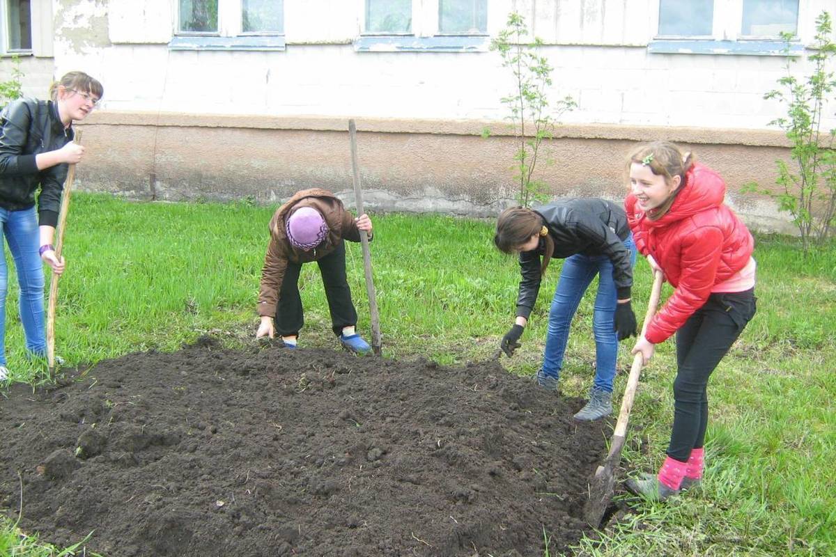 Подготовка места. Подготовка клумбы к посадке. Копают клумбы. Клумба вскопанная. Перекопать клумбу.