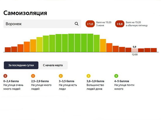 Воронежский «рекорд»: индекс самоизоляции упал ниже единицы