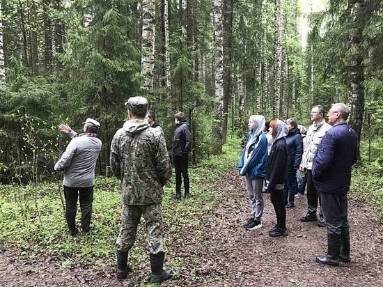 Кировский дендрарий обзаведется питомником редких растений