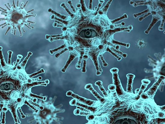 В Поморье ещё у 94 человек выявлен коронавирус
