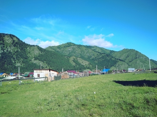 Коронавирус впервые выявили в Чемальском районе Горного Алтая