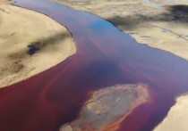 Глава Госдепартамента США Майк Помпео прокомментировал экологическое ЧП в Норильске, где произошел разлив огромного объема нефтепродуктов