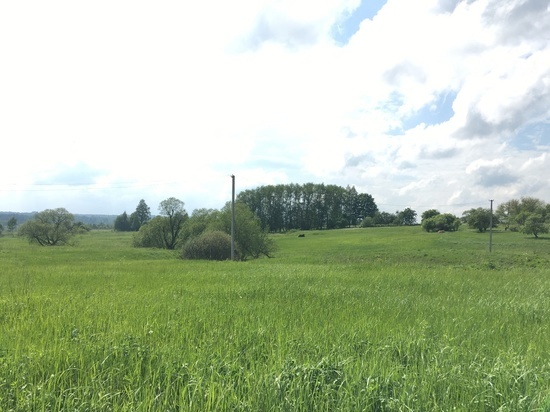 К июню смолянам возместили более 4-х миллионов за известкование почв