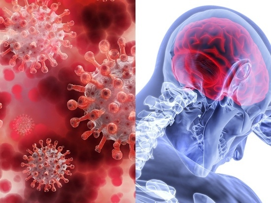 Ученые выяснили, как коронавирус попадает в человеческий мозг