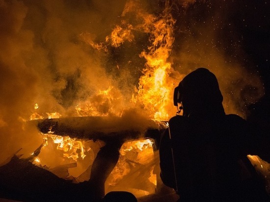 Ночью в Воронежской области сгорели два автомобиля