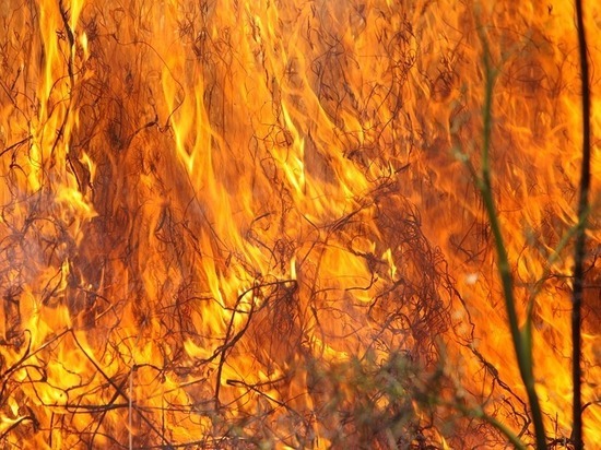 Опасные прогнозы сбылись: за сутки в Оренбуржье сгорела огромная площадь земли