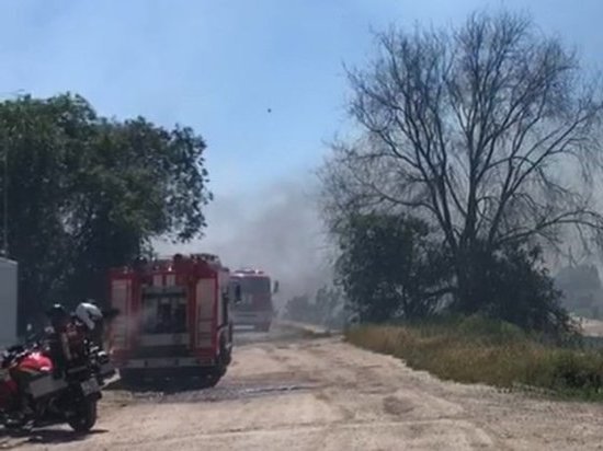 В Ростове потушили крупный ландшафтный пожар на Левом берегу Дона