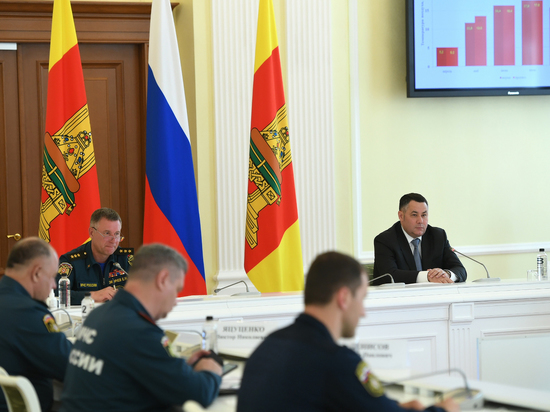 Игорь Руденя и глава МЧС России обсудили готовность региона к пожароопасному сезону