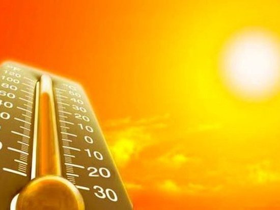 Аномальная жара продлится в Курске неделю