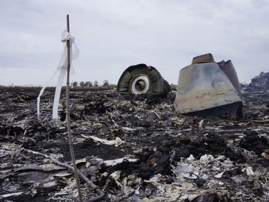 Нидерланды считают виновными в трагедии ополчение Донбасса