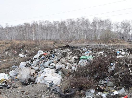 Омский суд окончательно запретил вывоз отходов на полигон в Надеждино