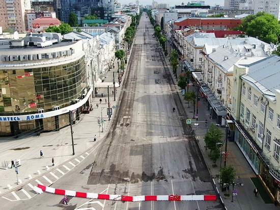 Мэр Воронежа обдумал идею пешеходного проспекта Революции