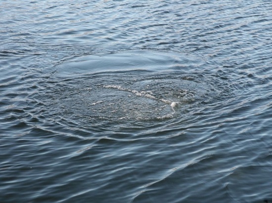 В Рыбинске утонул 16-летний подросток