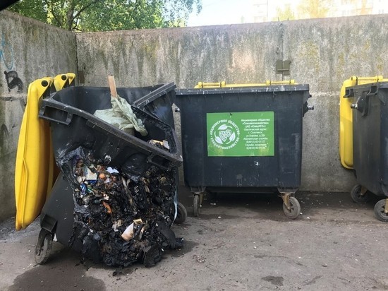 С начала года в Смоленске сгорел 31 пластиковый контейнер