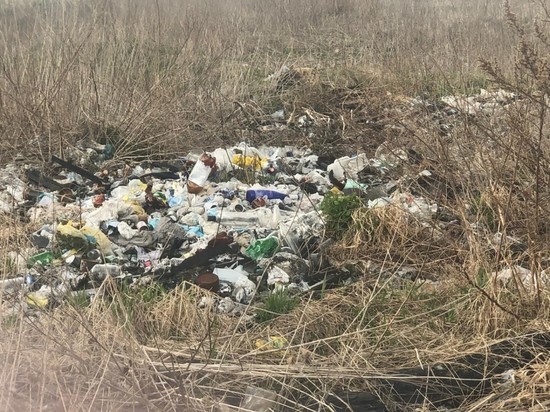 6 часов работники смоленского "СпецАТХ" разгребали свалку под Смоленском