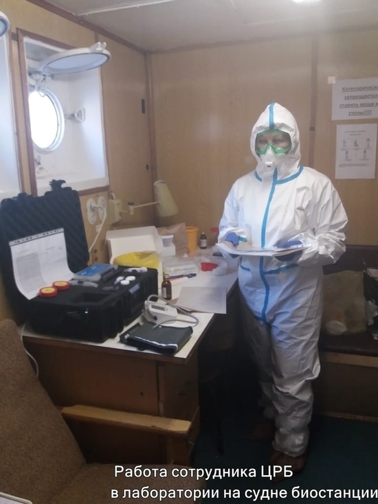 У всех сотрудников биостанции в Карелии возьмут мазки на коронавирус