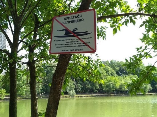 В Краснодаре за купание в запрещенном месте грозит штраф