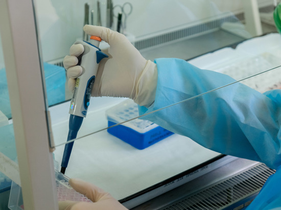 Волгоградские лаборатории начали делать тесты на антитела к COVID-19